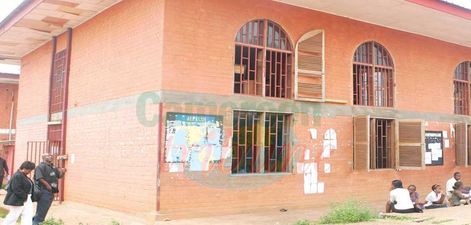 Matériaux locaux : un mur de préjugés