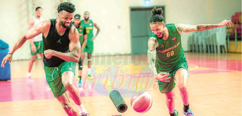 Eliminatoires zone Afrique Mondial FIBA: Le tournoi s’ouvre demain à Douala