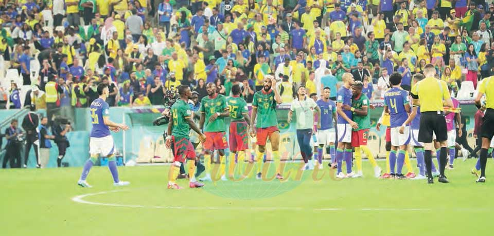 Lions indomptables : sortie honorable