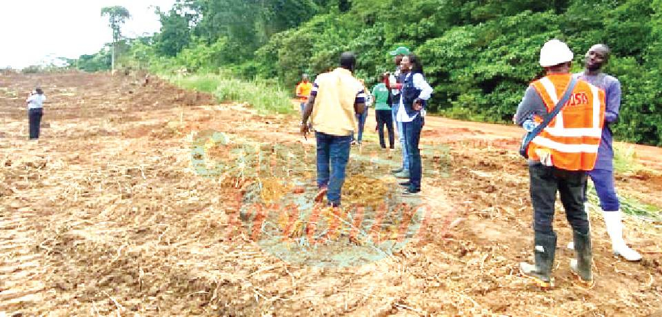 Import-substitution agropastoral:  Ça avance à Afanloum