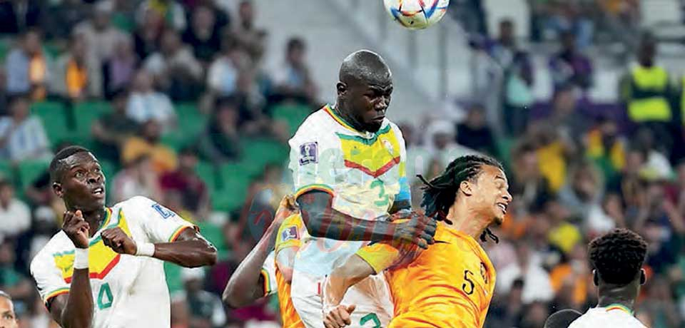 Netherlands-Senegal : Late Dutch Show Sinks Lions