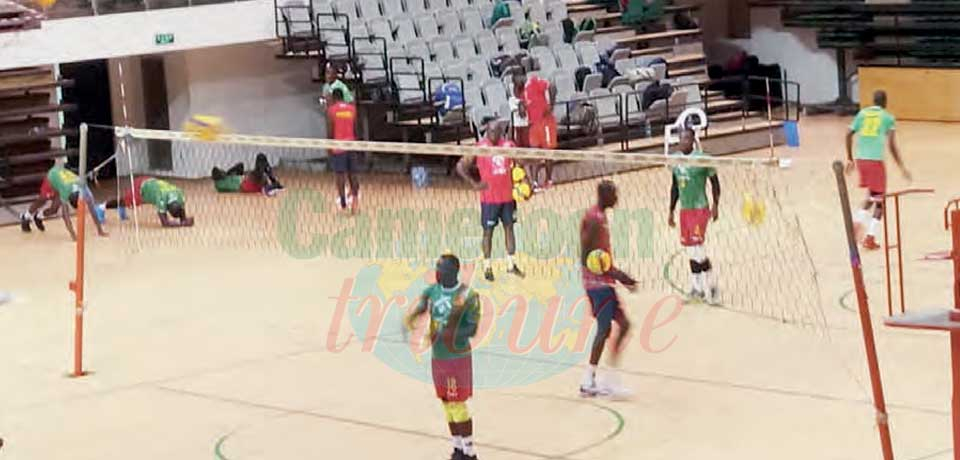 Volley-ball messieurs : premier écrémage pour les Lions