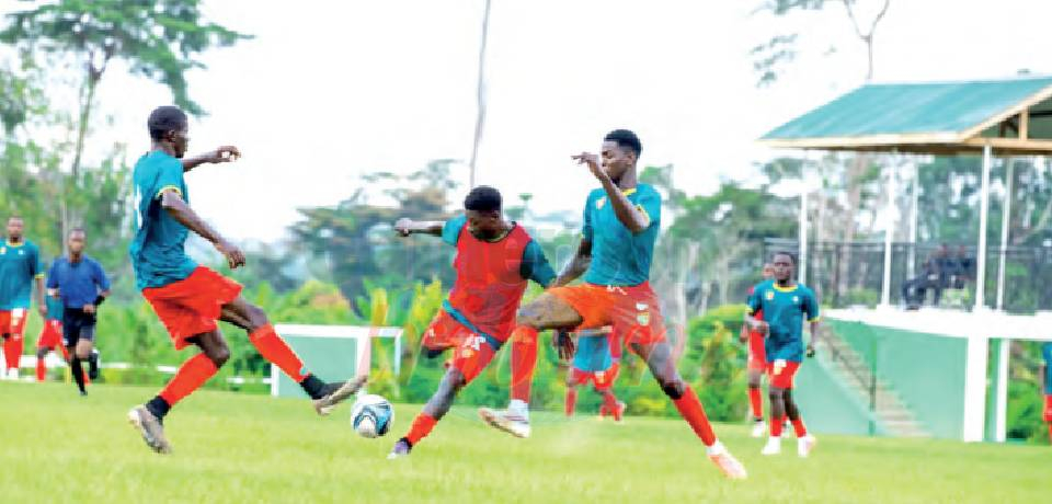 Canon sportif de Yaoundé: Opération reconquête