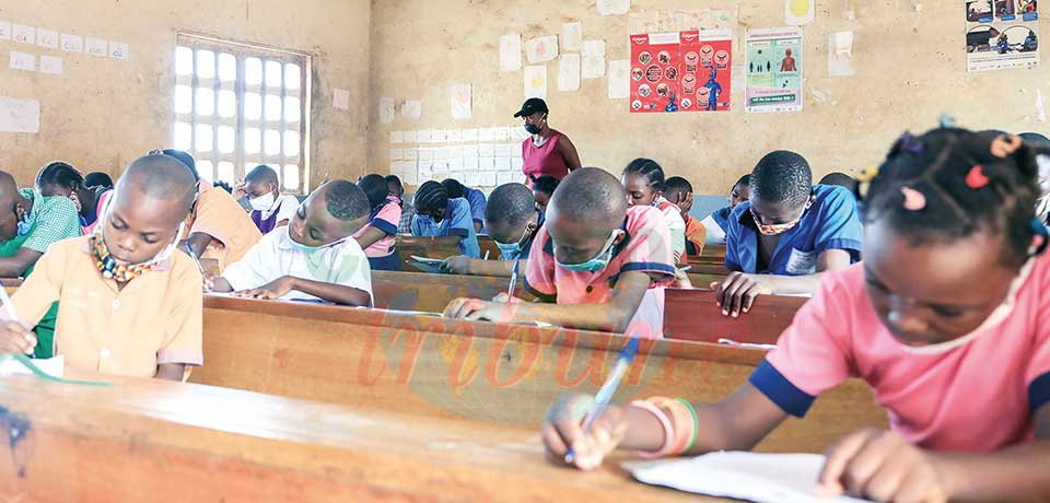 Education de base : galop d’essai pour le CEP Education de base : galop d’essai pour le CEP