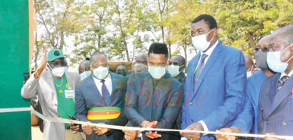 Ambiance : Bertoua a sa « Tanière du Lion »