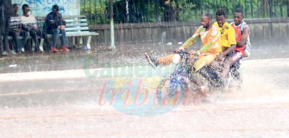 Climat : pluies surprises de janvier Climat : pluies surprises de janvier