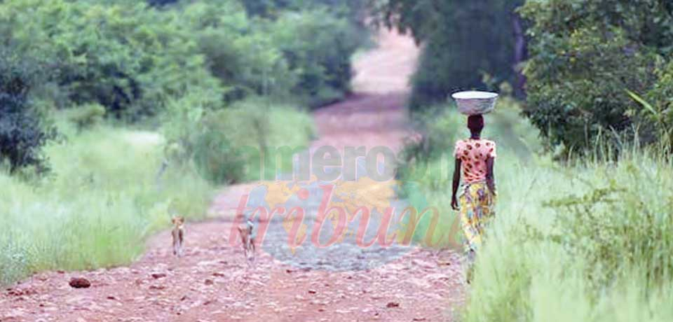 Réserve de biosphère : Doumba-Rey reconnue par l’Unesco