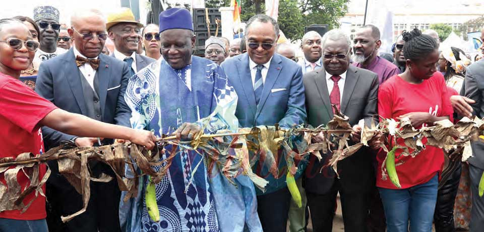 Agriculture: Fête à la banane-plantain
