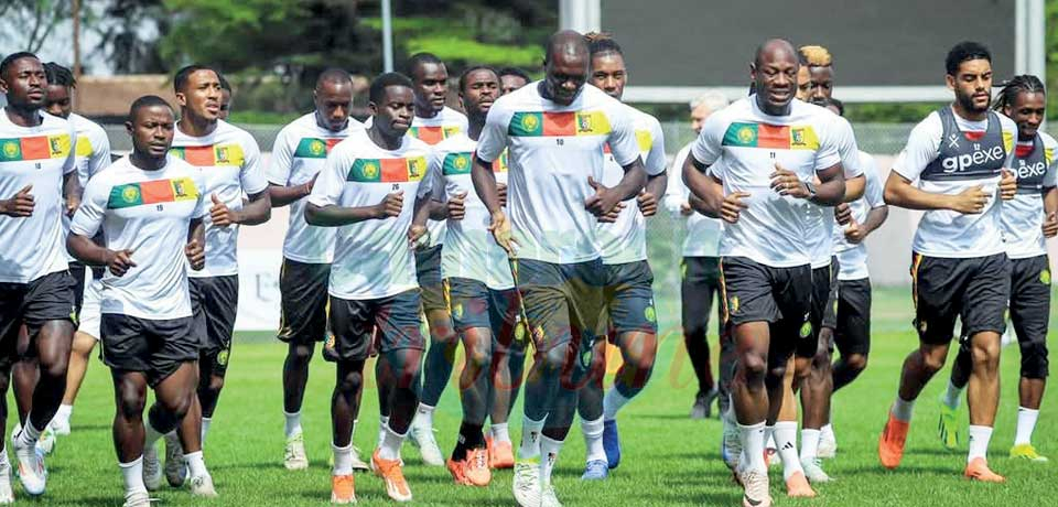 Les Lions savent désormais à quoi s’attendre.