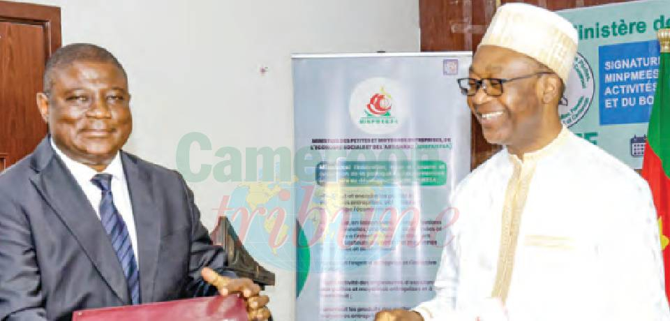 Développement des filières agriculture et bois: L’incubateur d’Ambam se positionne