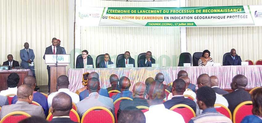 Cameroon Red Cocoa will be the country’s third agricultural product certified by OAPI. Cameroon Red Cocoa will be the country’s third agricultural product certified by OAPI.