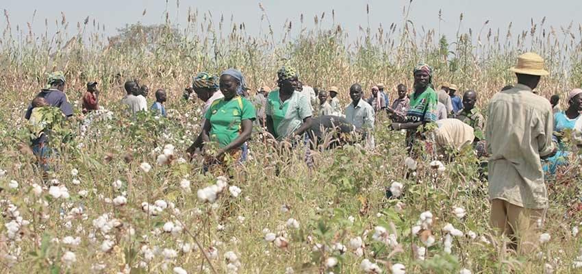 Diversification de l'économie africaine : on compte sur le monde rural