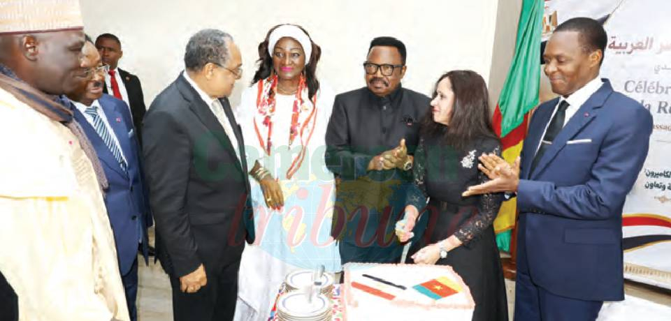 Cameroun-Egypte: Une relation qui se consolide