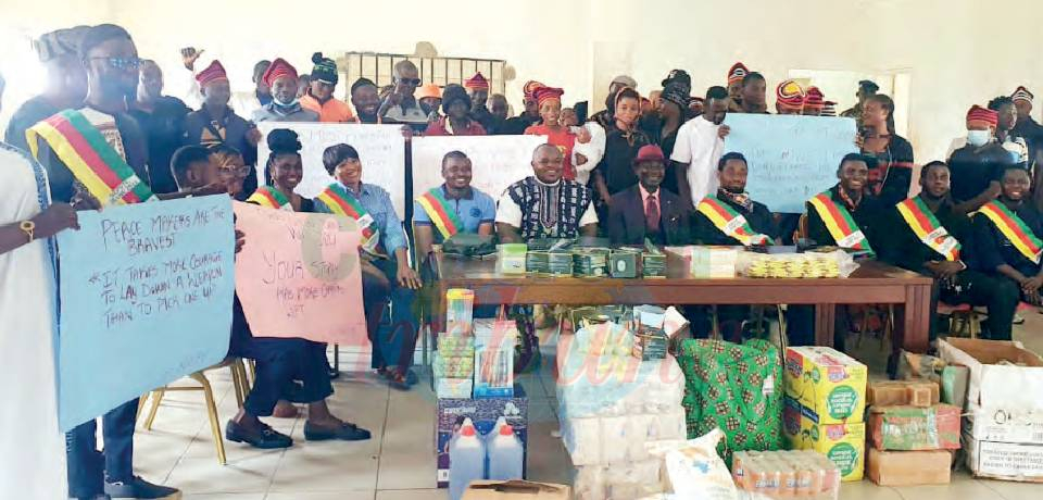 Bamenda DDR Centre: Ex-Fighters, Young Parliamentarians Commune