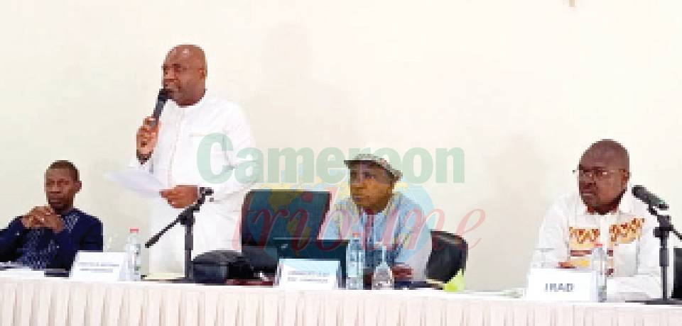 Cacao durable: Le biochar en cours de vulgarisation