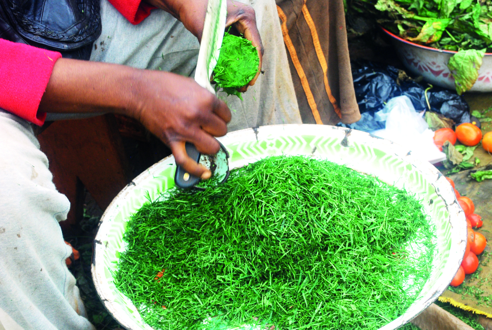Ces plantes, animaux et micro-organismes contenant des gènes et qui sont aussi nombreux que divers au Cameroun regorgent d’énormes potentiels économiques qui gagneraient à être valorisés.