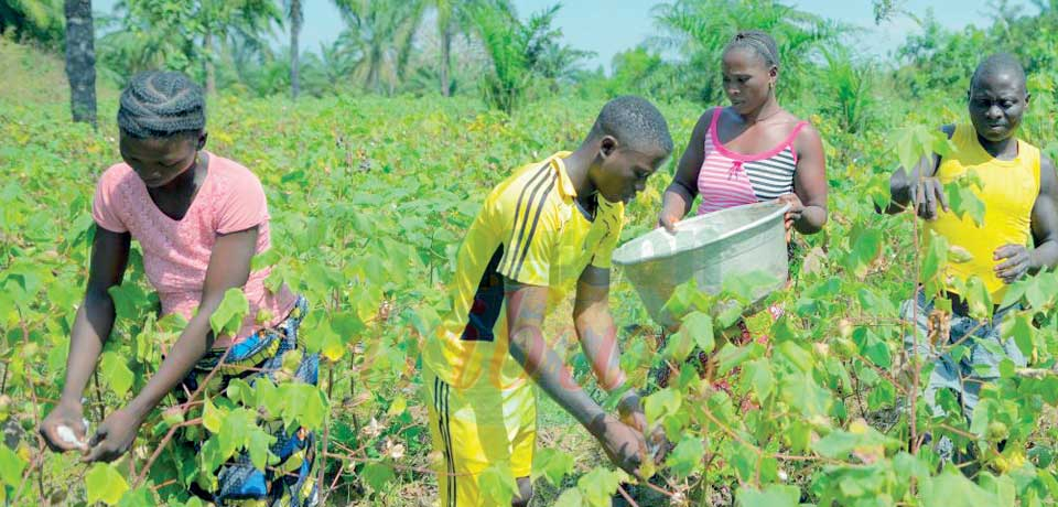 Agriculture : l’Afrique trace son sillon à Kampala Agriculture : l’Afrique trace son sillon à Kampala