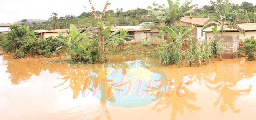 Yaoundé : état d’alerte dans les marécages Yaoundé : état d’alerte dans les marécages