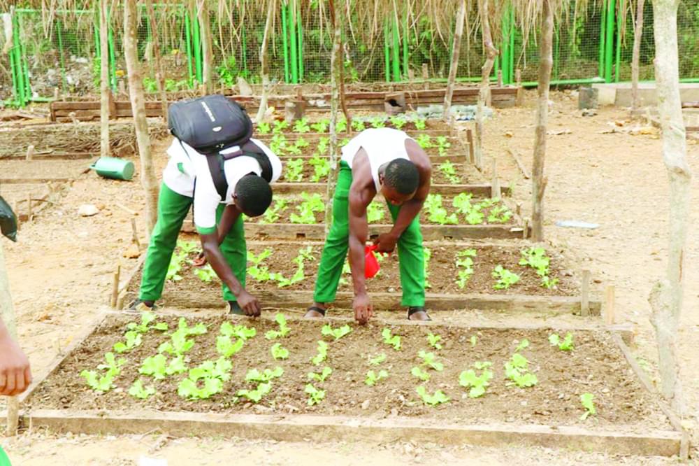 Microfinance en zone Cemac : stabilité relative