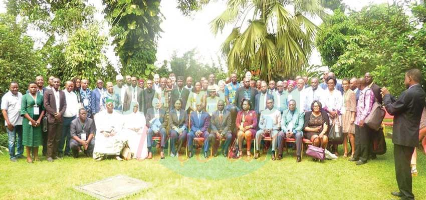 Congo Basin Forest Partnership : NGOs Seek Harmonisation of Operations