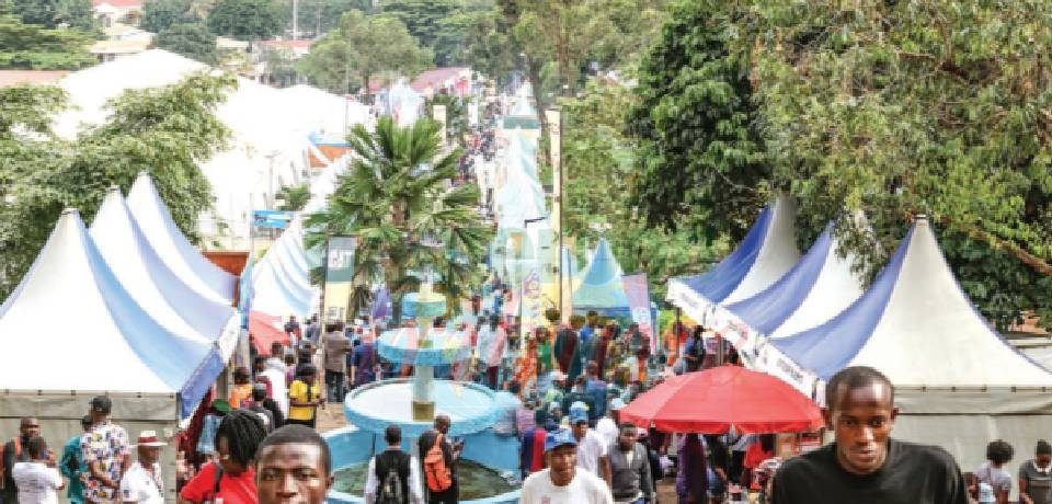 Promote 2026: Un bon cru