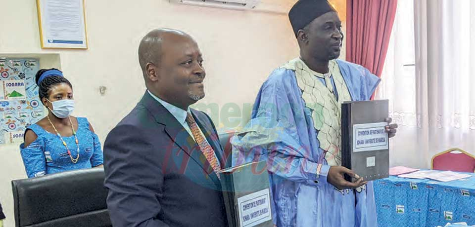 SONARA GM, (in suit) and Maroua University Rector, in gandura after the partnership. SONARA GM, (in suit) and Maroua University Rector, in gandura after the partnership.