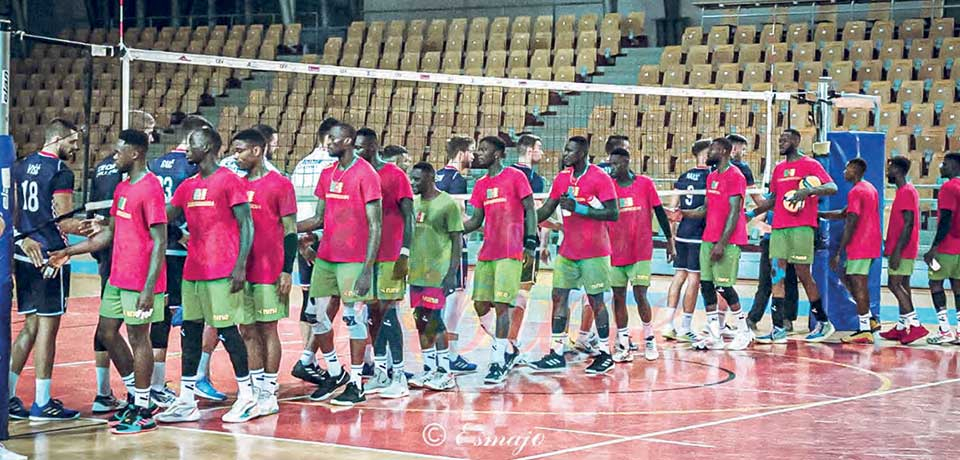 Championnat d’Afrique des nations de volley-ball  : les Lions au Caire