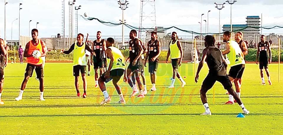World Cup Qualifiers : Lions intensify Training