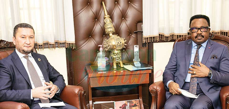 Cameroon-United Nations: Appreciating Volunteering Actions