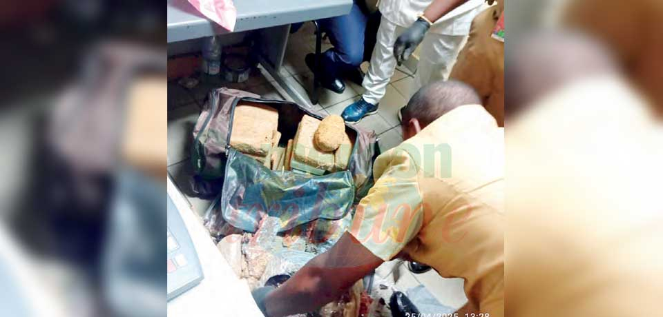 Aéroport: 30 kilos de cocaïne saisis Aéroport: 30 kilos de cocaïne saisis