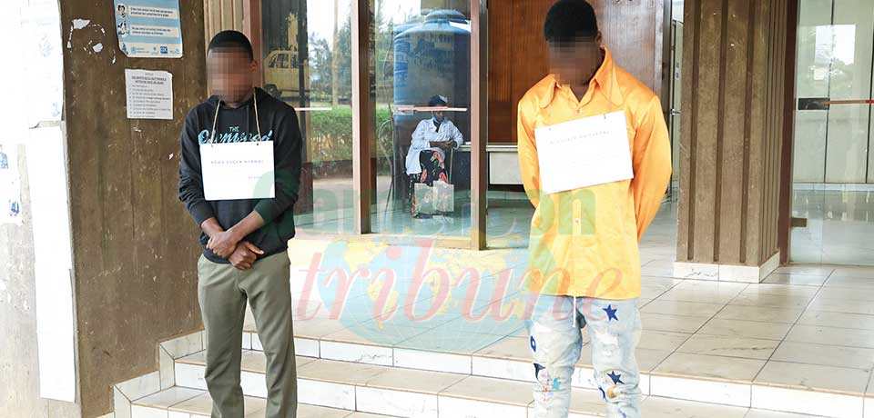 Ngwa Eugene Nyambi, 22 ans et Nguefack Awoukeng, 23 ans ont été interpellés les 2 et 6 octobre derniers à Yaoundé. Ils se faisaient passer pour des agents d’établissement des passeports. Ngwa Eugene Nyambi, 22 ans et Nguefack Awoukeng, 23 ans ont été interpellés les 2 et 6 octobre derniers à Yaoundé. Ils se faisaient passer pour des agents d’établissement des passeports.