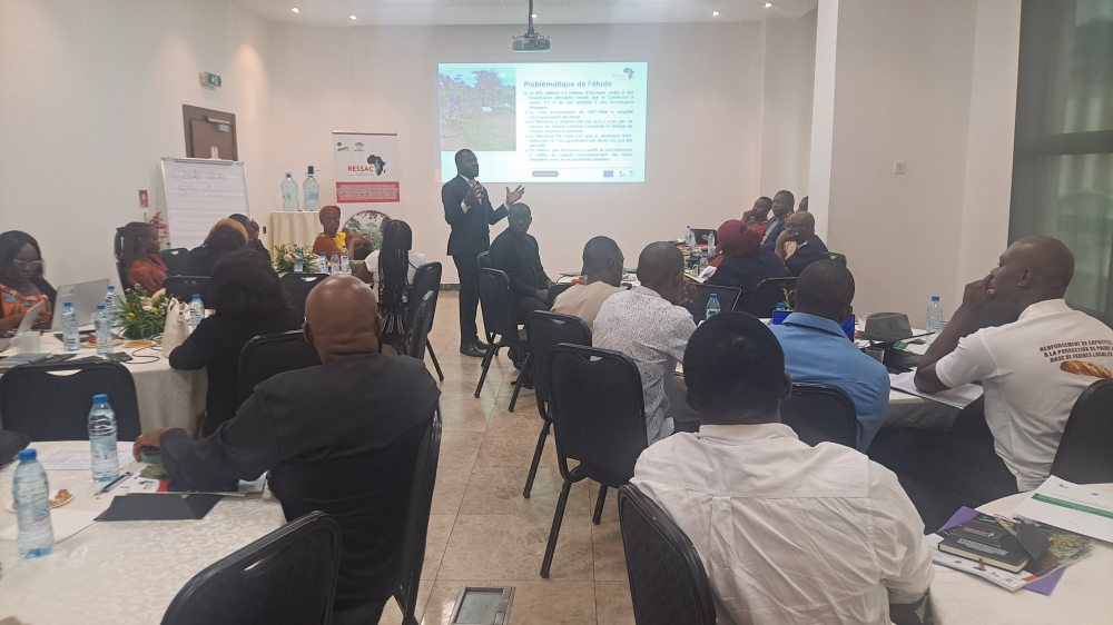 The survival of Congo Basin's social and environmental fabric depends on curbing the appetites of