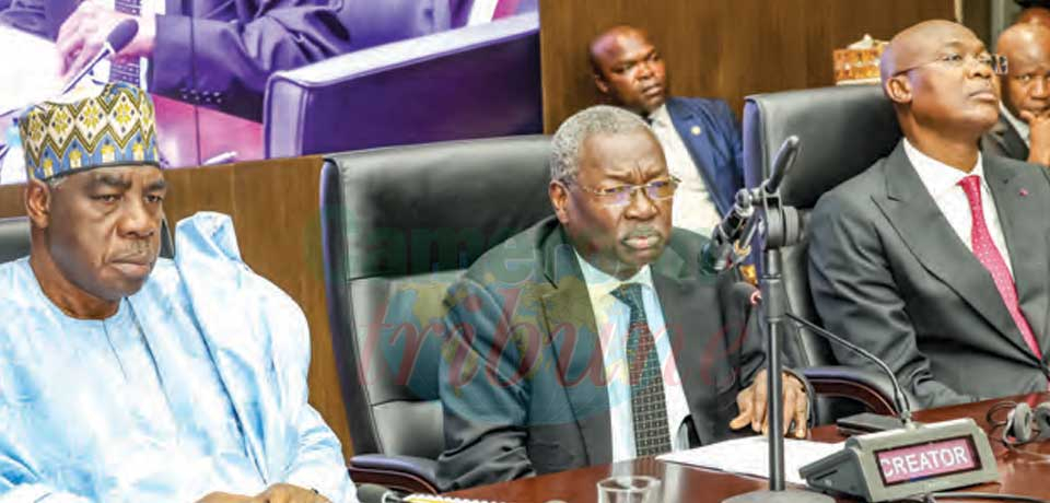 Élevage, Pêches et Industries animales : la production de viande va doubler