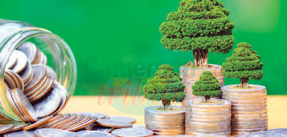 Finance climatique : comment capitaliser le potentiel Finance climatique : comment capitaliser le potentiel