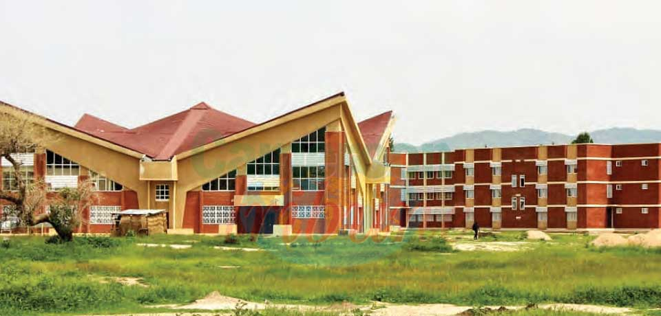 Université de Maroua : des filières innovantes Université de Maroua : des filières innovantes