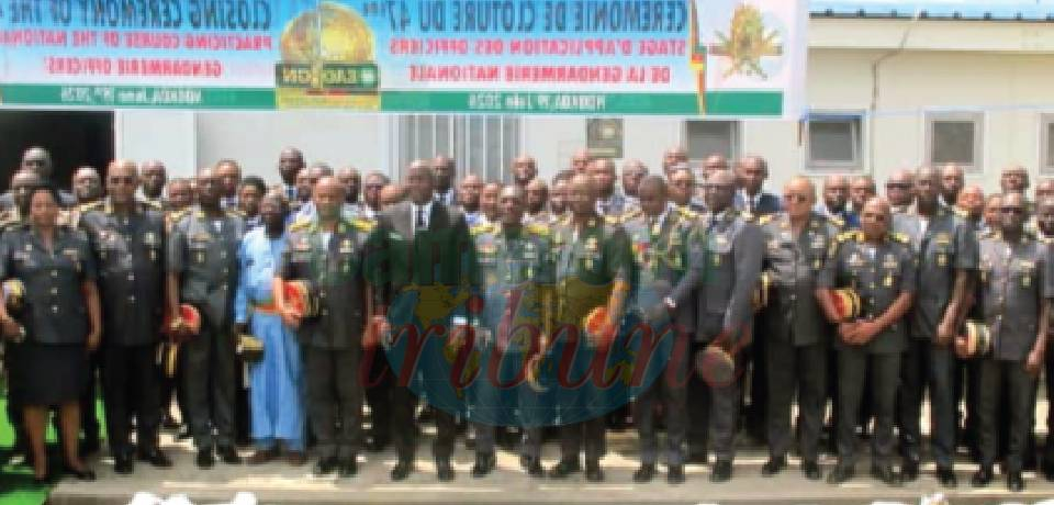 Gendarmerie nationale: 266 officiers plus aguerris