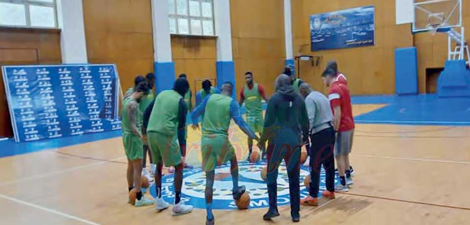 Basketball World Cup Qualifiers : Lions Begin Window 6 Today