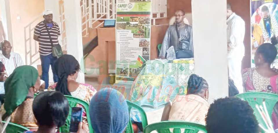 Développement local et autonomisation : la Koica forme les femmes de la Lékié Développement local et autonomisation : la Koica forme les femmes de la Lékié