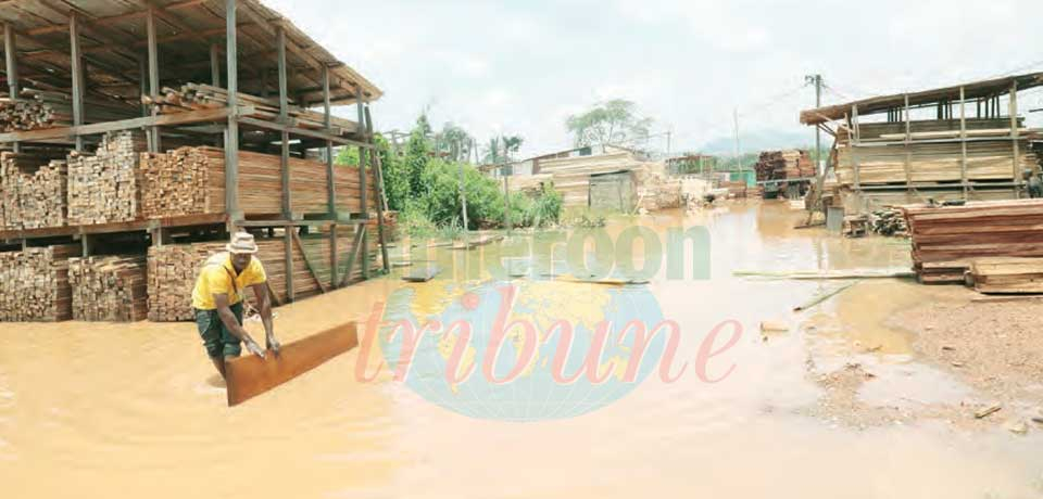 Climat : des risques persistants d’inondation Climat : des risques persistants d’inondation