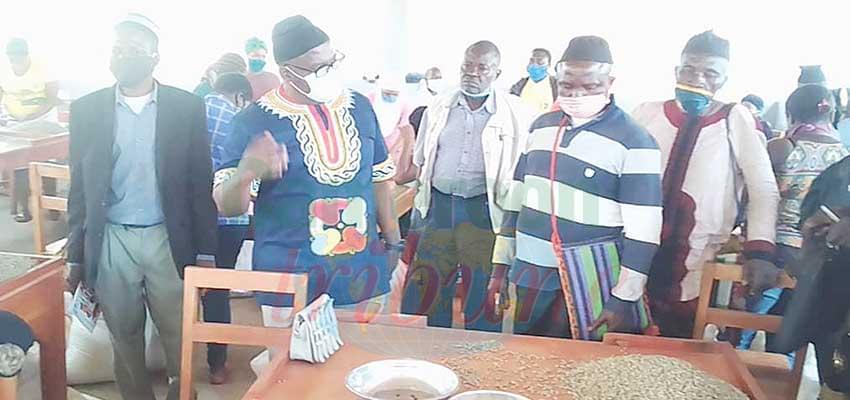 North West : Fertilizer, Pesticides To Revamp Coffee Sector