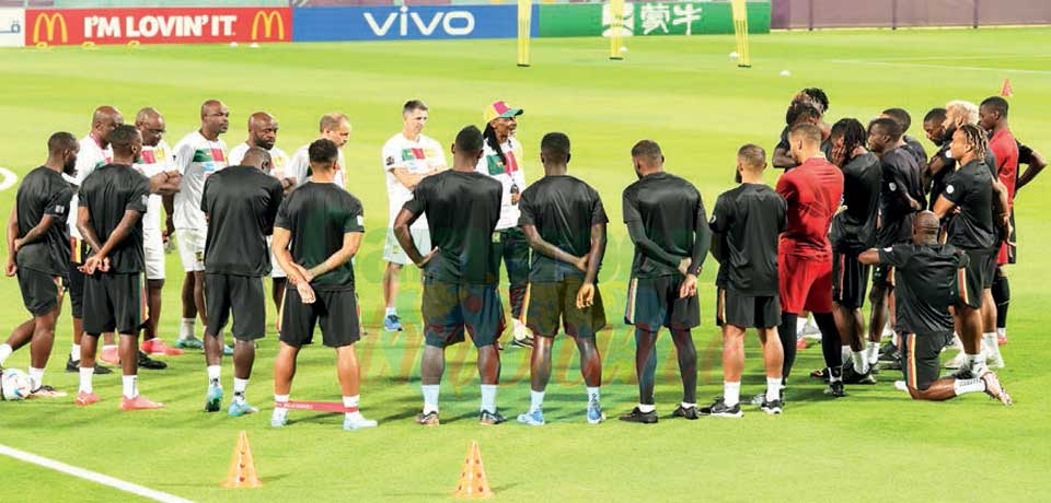 Indomitable : Lions Focus On Brazil!