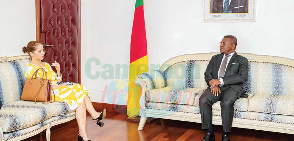 Cameroon-Brazil : Satisfactory Cooperation Ties