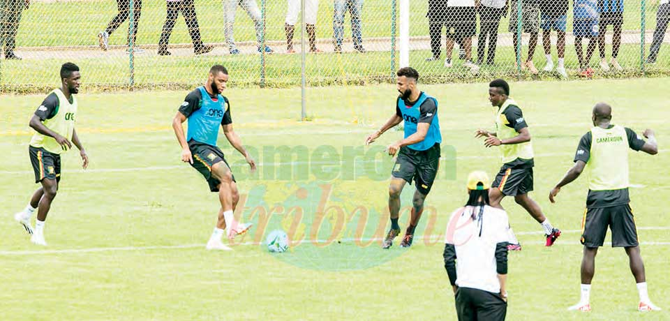 Lions indomptables : communion avec le public de Yaoundé