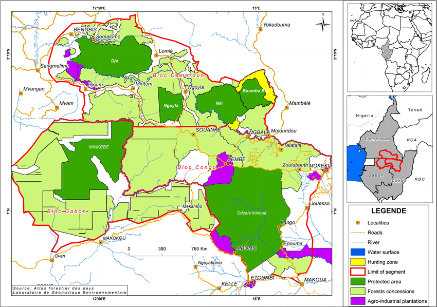 Where logging and conservation coexist – peaceful