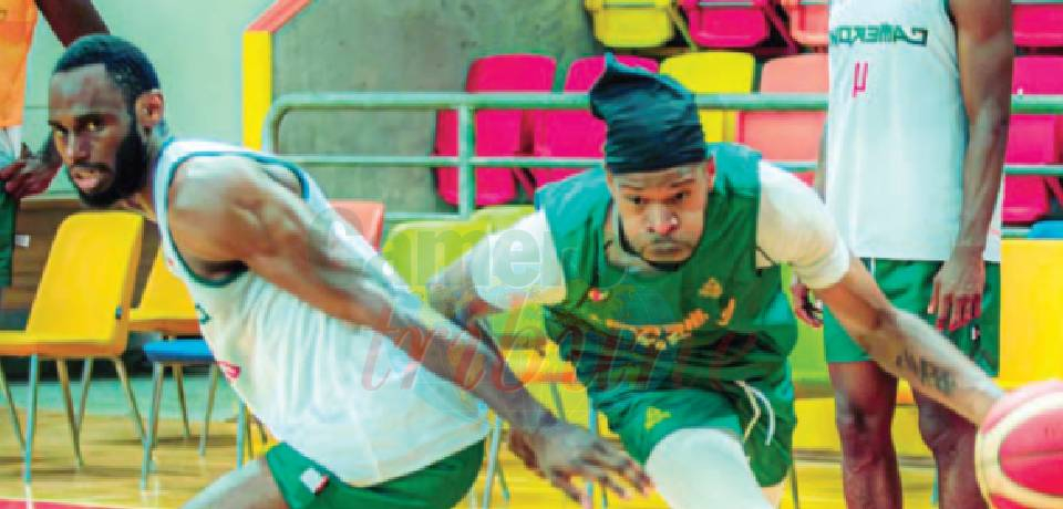 Eliminatoires zone Afrique Mondial Fiba: Les Lions en stage à Douala