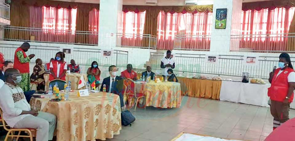 Humanitarian Aid : Red Cross Helps Mayo Sava Communities Humanitarian Aid : Red Cross Helps Mayo Sava Communities