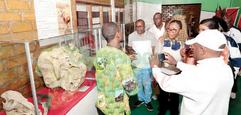CT 50th Anniversary : Guests savour Cameroon’s Tourism CT 50th Anniversary : Guests savour Cameroon’s Tourism