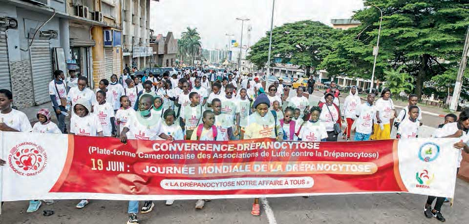 Lutte contre la drépanocytose : un message d’espoir Lutte contre la drépanocytose : un message d’espoir
