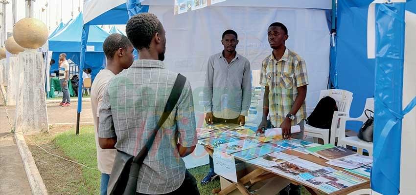 Emploi-jeunes: des opportunités pleuvent Emploi-jeunes: des opportunités pleuvent