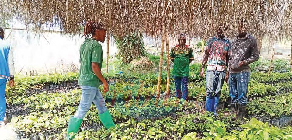 Université de Bertoua : 18 500 cop’s à l’assaut des campus